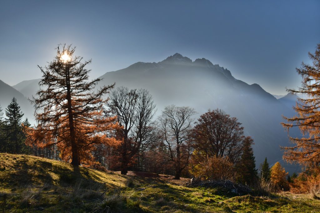 Lire la suite à propos de l’article Adobe Stock